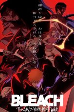 Bleach Thousand-Year Blood War