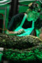 ufo2J8fupWwTm2KJ7ZuAqHxmUUK
